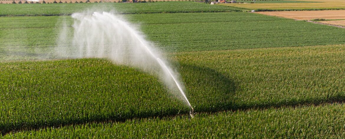 Crop-Irrigation