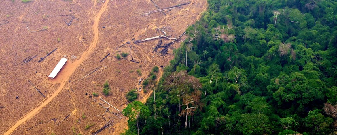 TOPSHOT-BRAZIL-ENVIRONMENT-FIRE-AMAZON