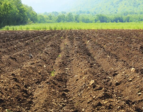 soil-solution