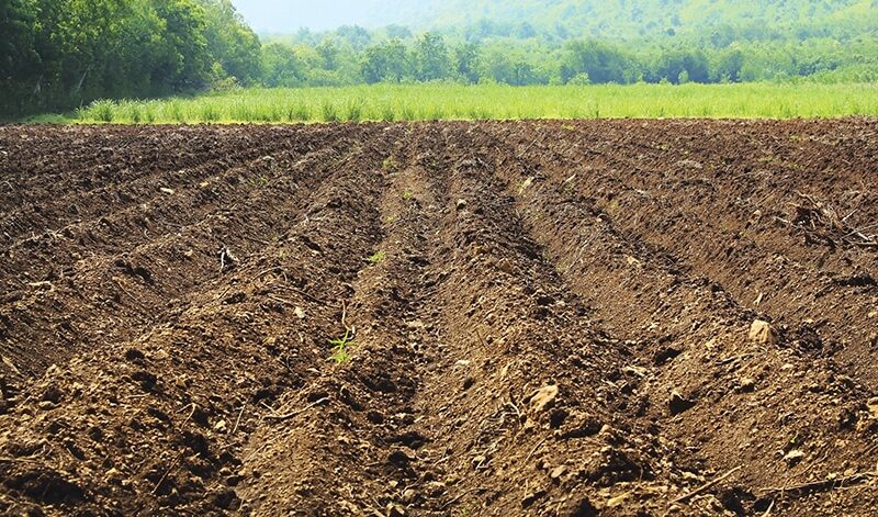 soil-solution